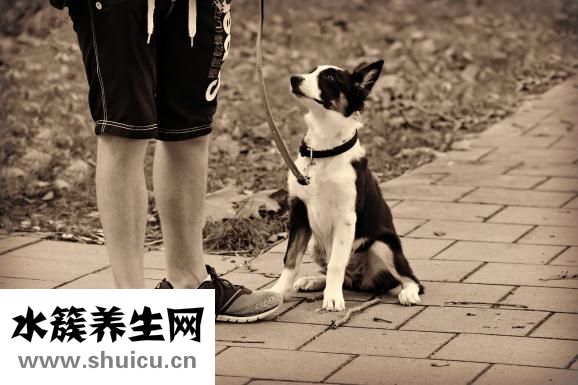 山楂糕的做法