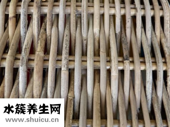 腺样体肥大怎么检查