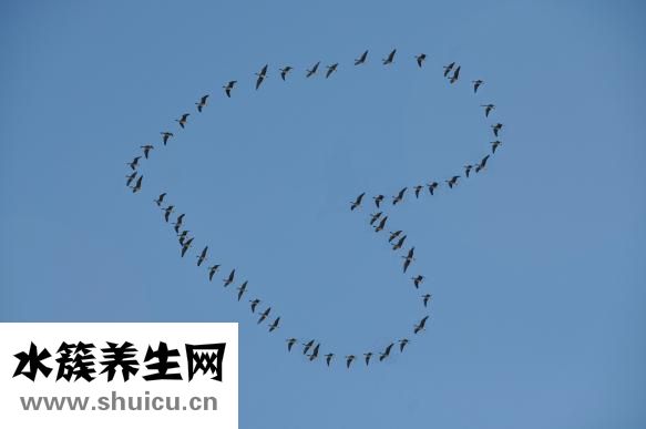 睡眠不足会变笨