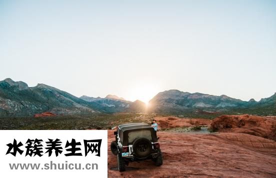 为什么会吐血