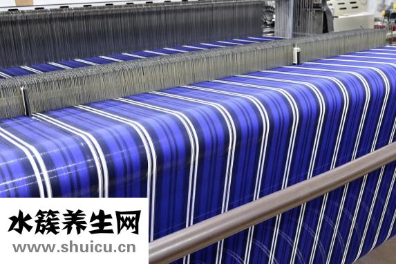 羊胎盘的功效与作用