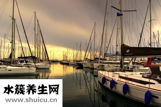 椰油酰胺丙基甜菜碱