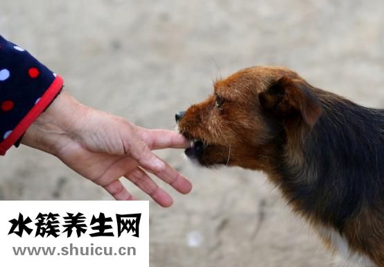 水痘传染性强吗