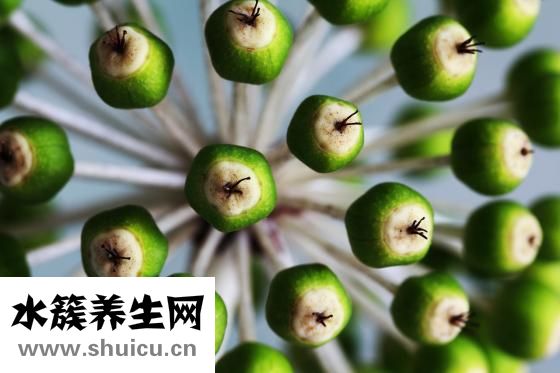 芫荽的功效与作用