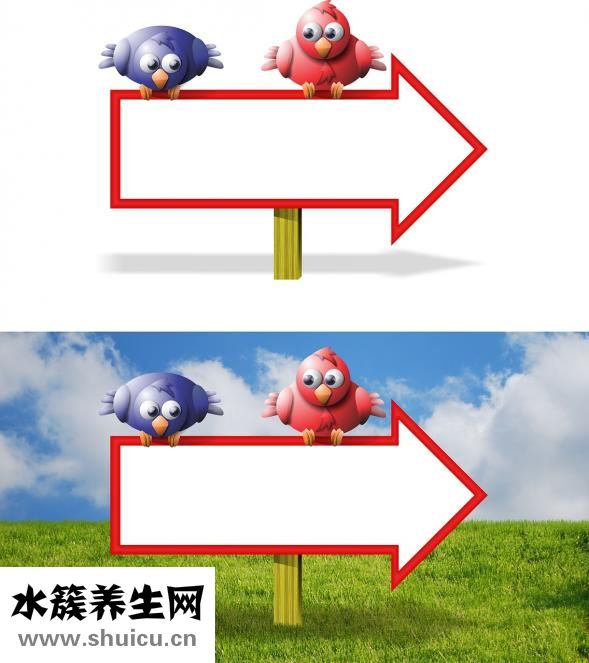 牙线棒怎么用