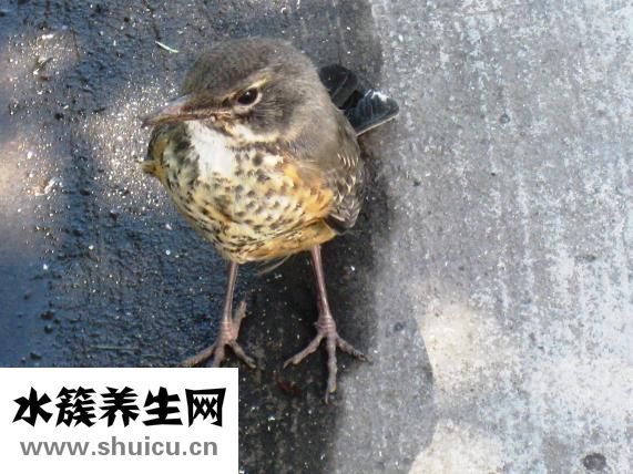 牙膏能吃吗