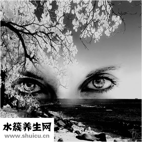 眼皮下垂了该怎么办