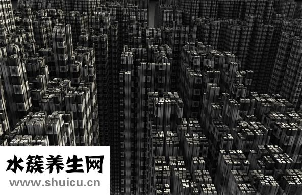 通心络胶囊成分