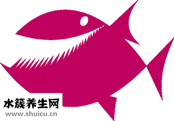 牙根断裂图片