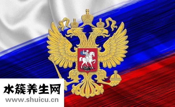 锁骨下静脉穿刺
