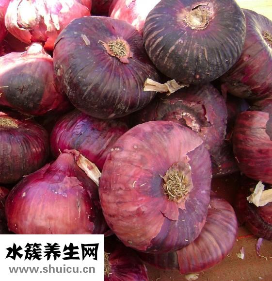 鱿鱼炒洋葱的做法