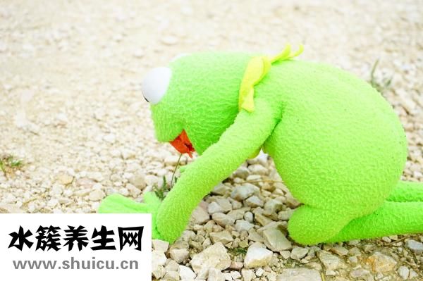 糖尿病防治
