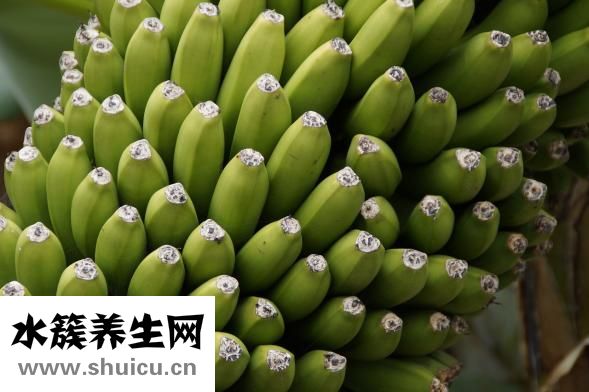 烫伤不能吃什么