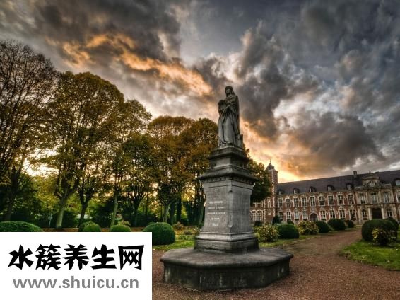 适应障碍症