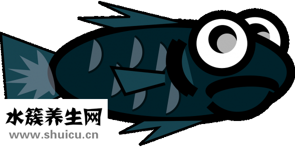 眼睛的种类