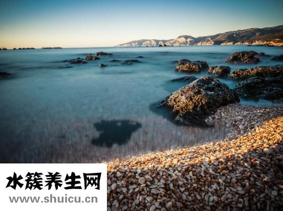 芪苈怎么读