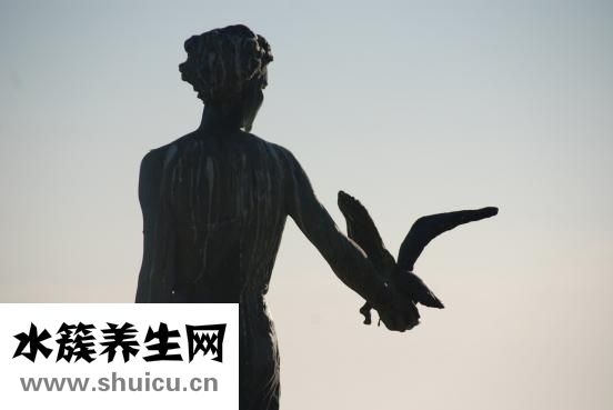 蜈蚣咬了怎么办