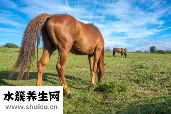 什么是苹果肌