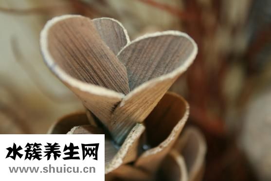 蜂蜜去皱纹