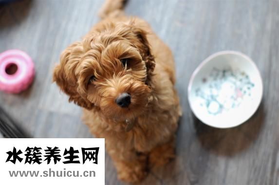 鱼油的功效