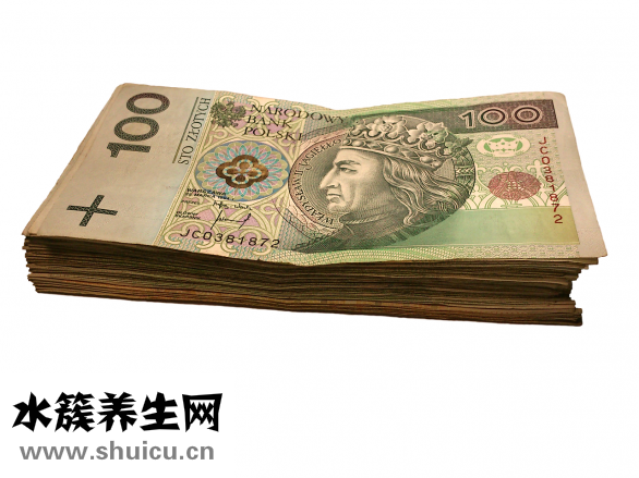 麝香抗栓丸