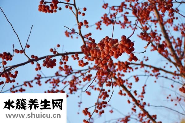 鱼干怎么吃