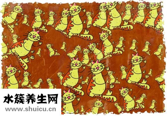芍药的别名