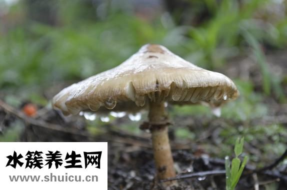 硝酸银溶液