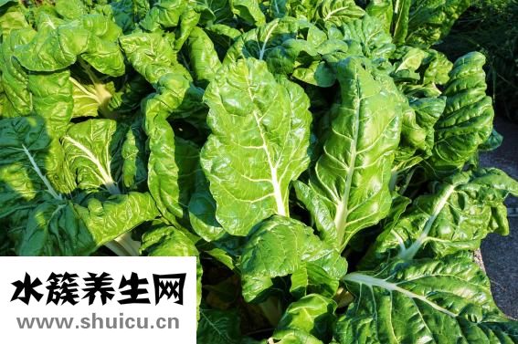 晚上喝柠檬水