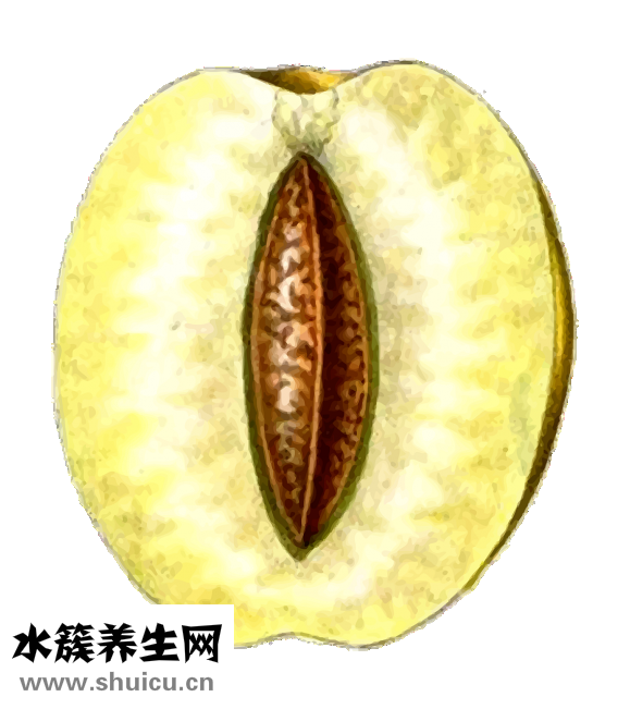 月子怎么补