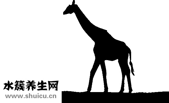 痦子的位置