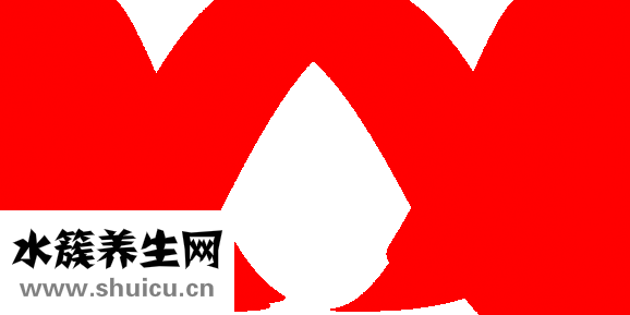 血栓怎么形成