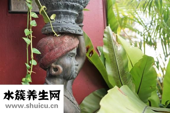 瘦腿针多少钱一针