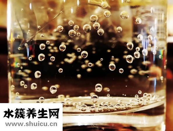 红枣枸杞黄芪