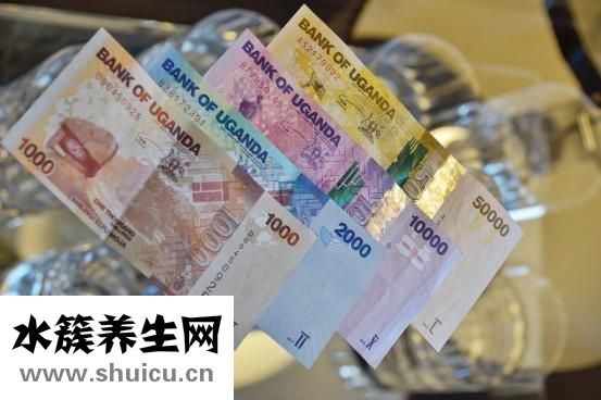 肾穿刺活检
