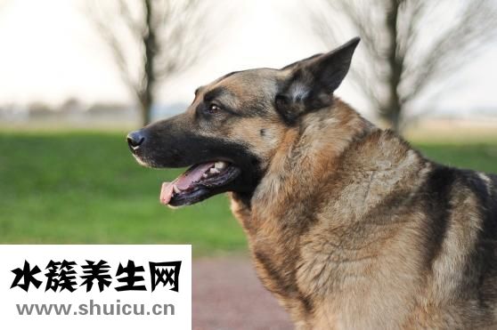 水痘传染性强吗
