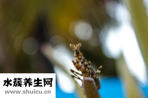 肾穿刺活检查验有何用？一般不需要开展肾穿孔活检