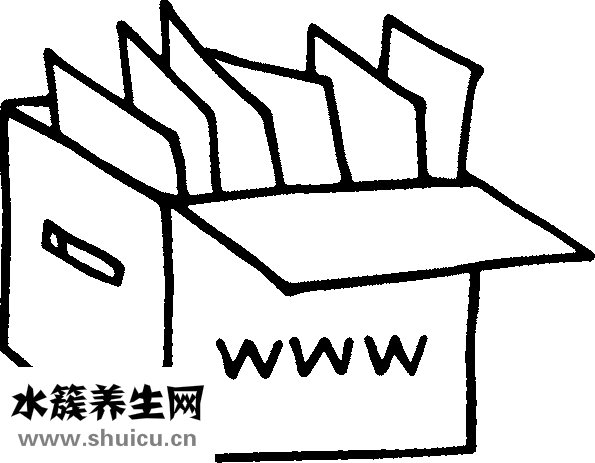 细胞免疫疗法