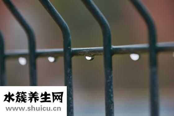 茯苓膏做法