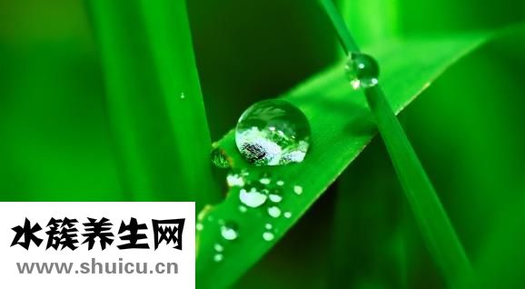 睡前能吃苹果吗