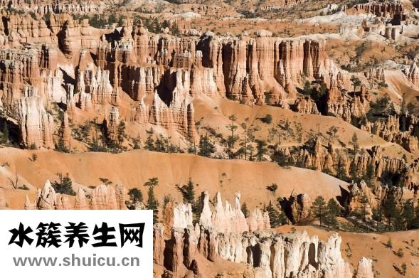 胸如何变大