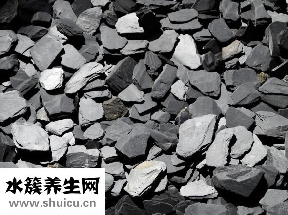 山稔子图片