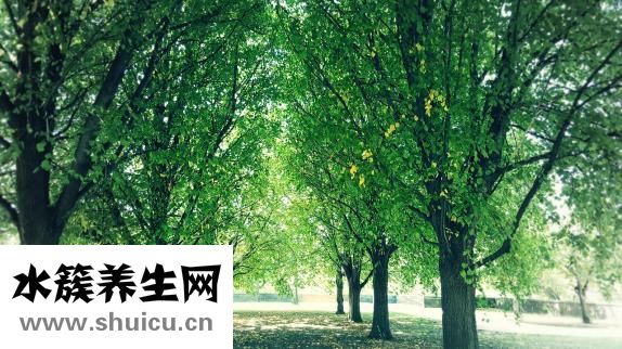 胃胀气老打嗝
