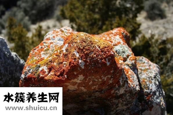 为什么脚底会痛