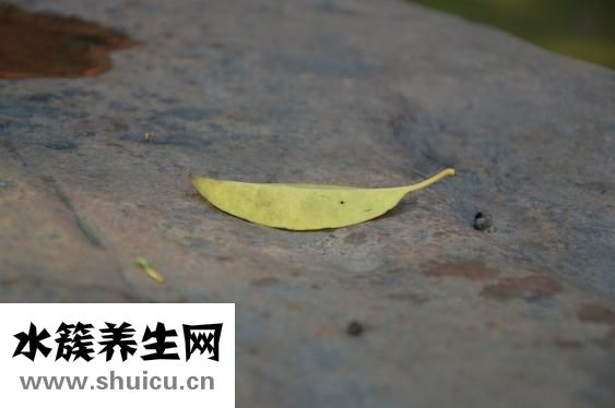 肾结石手术多少钱
