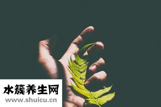 直肠癌的治疗