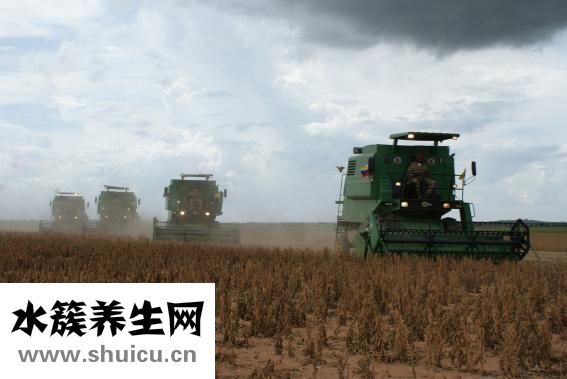 葛根粉怎么吃丰胸