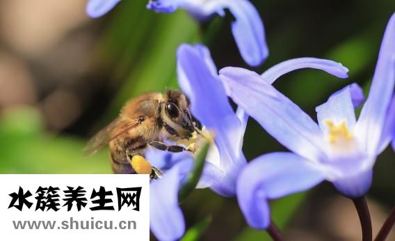身上发冷是什么原因