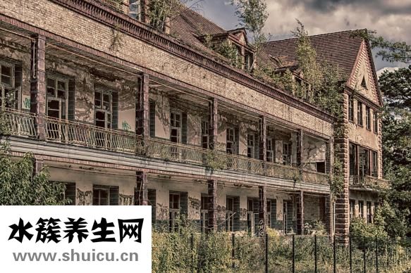 睡眠不好挂什么科