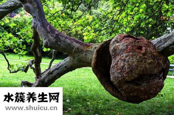 圆肩驼背怎么训练